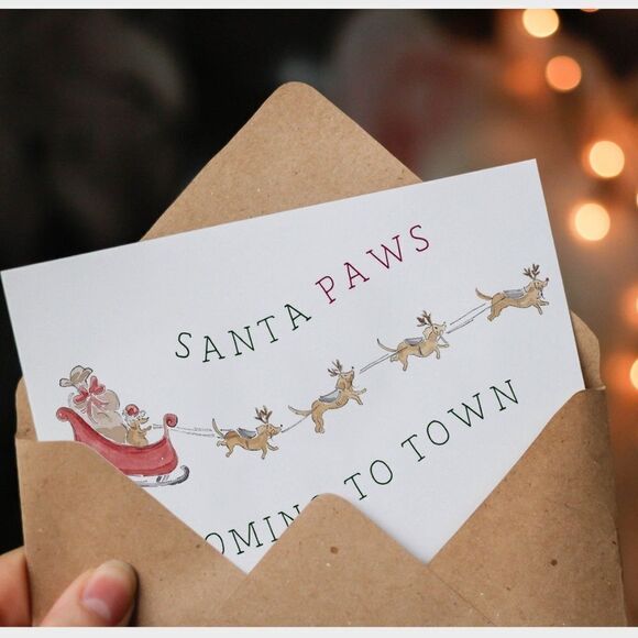 Santa Paws Christmas Cards - Picture 6 of 6